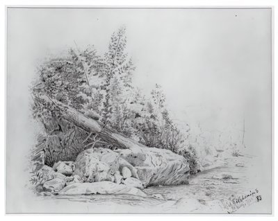 Fallen Tree, Keene Valley, 25. heinäkuuta 1883. tekijältä Louis Michel Eilshemius