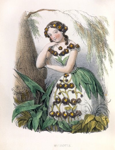 Allegorie , la Myosotis tekijältä Louis Simon (1810-1870) Lassalle