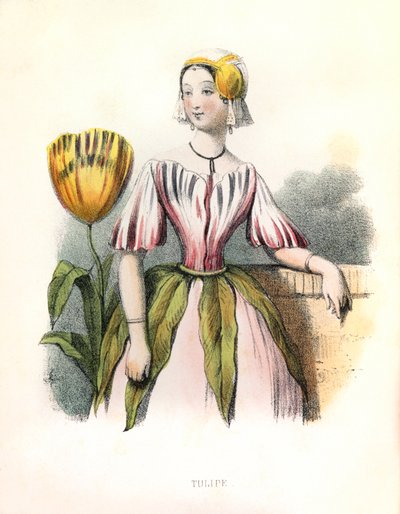 Allegorie , la Tulipe tekijältä Louis Simon (1810-1870) Lassalle