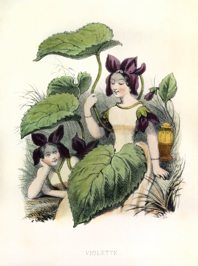 Allegories , la Violette tekijältä Louis Simon (1810-1870) Lassalle