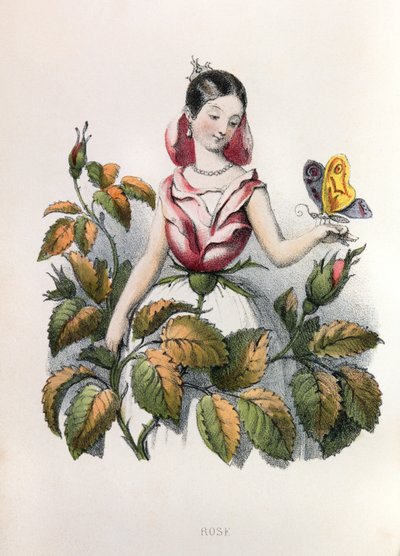 Allegories, la rose tekijältä Louis Simon (1810-1870) Lassalle