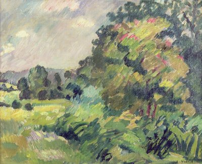 paisagem da Normandia finlandesa tekijältä Louis Valtat