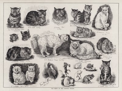 Kissanäyttely Crystal Palacessa (kaiverrus) tekijältä Louis Wain