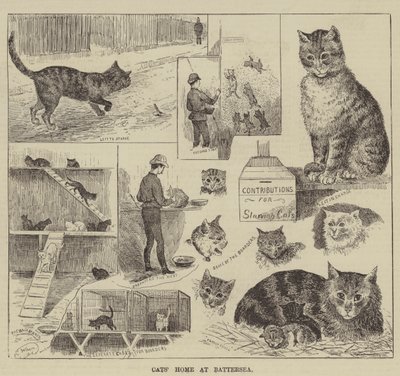 Kissojen koti Batterseassa tekijältä Louis Wain