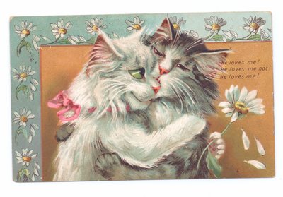 Edvardiaaninen postikortti, jossa kaksi kissaa halaa toisiaan, noin 1910. tekijältä Louis Wain