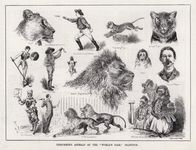 Esiintyvät eläimet "maailmannäyttelyssä", Islington (kaiverrus) tekijältä Louis Wain