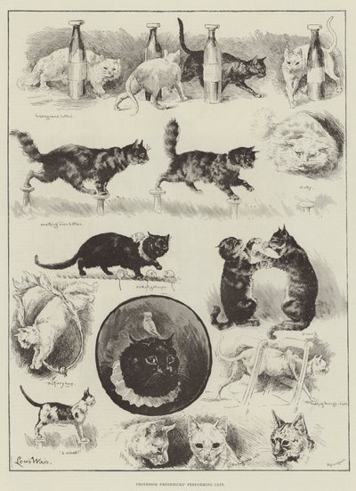 Professori Fredericksin esiintyvät kissat tekijältä Louis Wain
