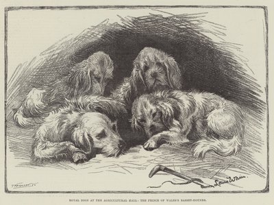 Kuninkaalliset koirat maataloushallissa, Walesin prinssin basset-koira tekijältä Louis Wain