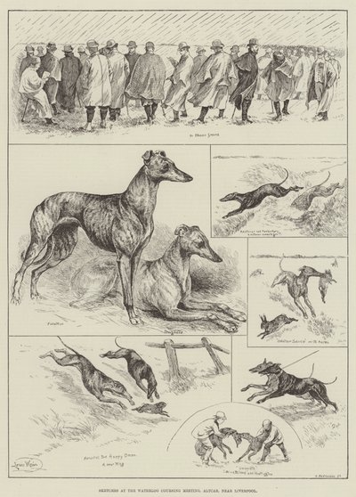Luonnokset Waterloo Coursing Meetingissä, Altcar, lähellä Liverpoolia (kaiverrus) tekijältä Louis Wain