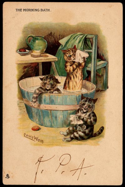 Aamukylpy. Animaux en posture d