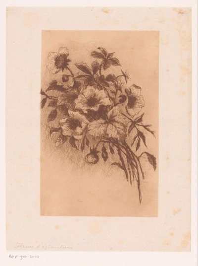 Kukat tekijältä Louise Elsen (attributed to)