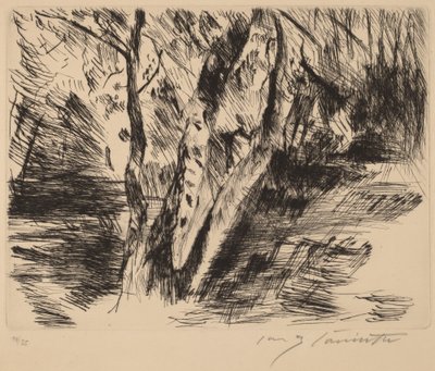 Koivut Tiergartenissa, 1920-1921. tekijältä Lovis Corinth