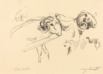 Schafböcke (oinaat) tekijältä Lovis Corinth