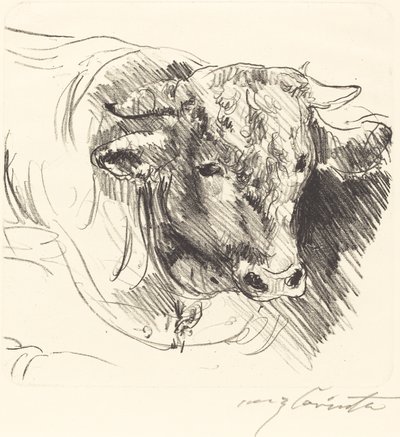 Stierkopf Härkäpäällikkö, 1912. tekijältä Lovis Corinth