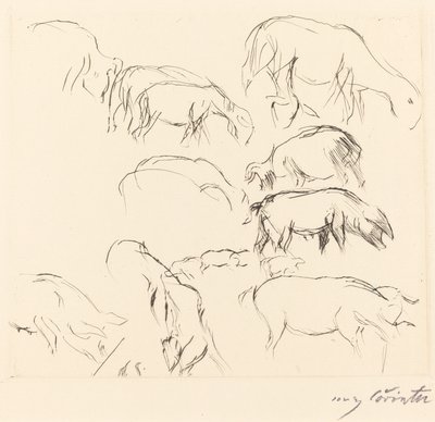 Various Animal Studies Animal Studies, 1917. tekijältä Lovis Corinth