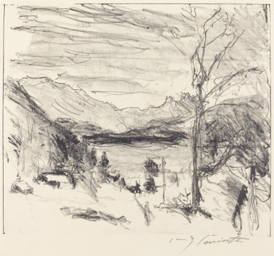 Walchensee sumussa Walchensee sumussa, 1920. tekijältä Lovis Corinth
