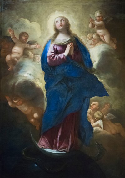 Moitteeton käsitys tekijältä Luca Giordano