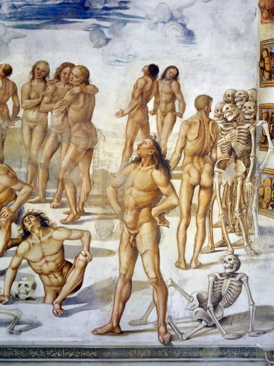 Resurrection of Flesh, Last Judgment -frescojaksosta tekijältä Luca Signorelli