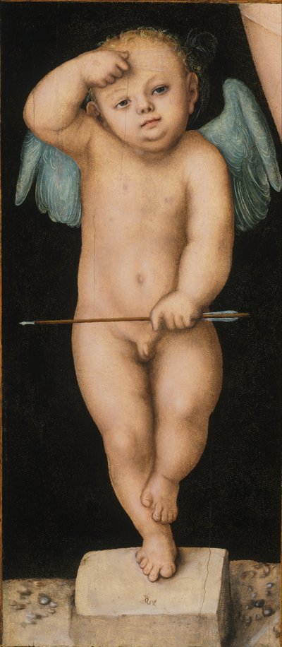 Cupido tekijältä Lucas Cranach the Elder