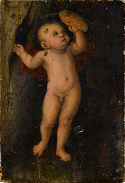 Amor als Honigdieb (Fragment) tekijältä Lucas Cranach
