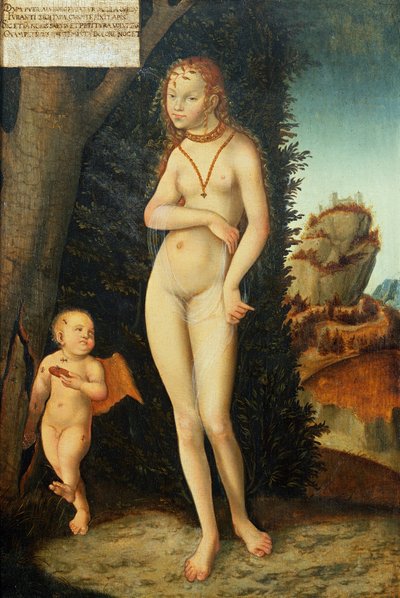 Tuntematon kuva tekijältä Lucas Cranach