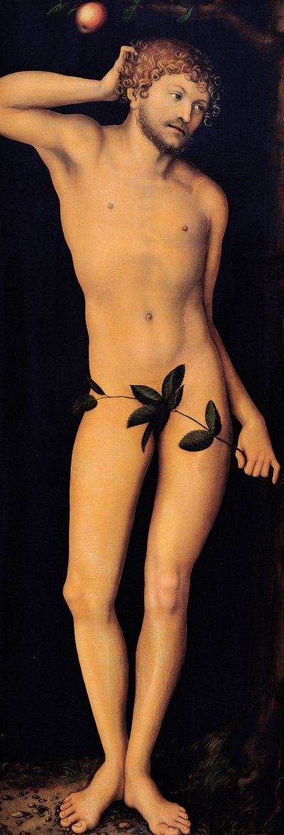 Adam, 1528. tekijältä Lucas Cranach the Elder
