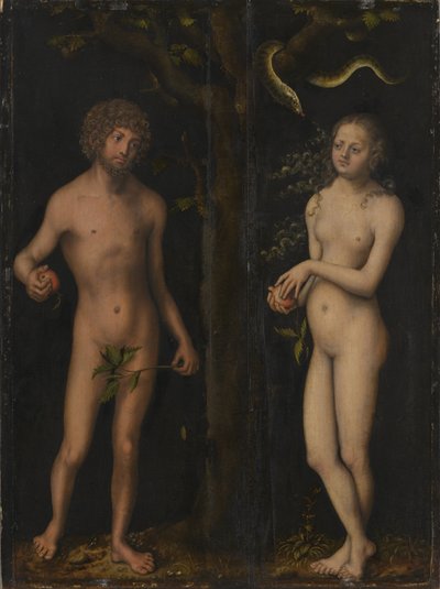 Saksa: Adam und Eva Aatami ja Eeva tekijältä Lucas Cranach the Elder