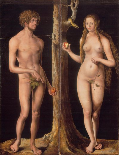 Saksa: Adam und Eva Aatami ja Eeva tekijältä Lucas Cranach the Elder