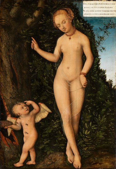 Saksa: Venus mit Amor als Honigdieb Venus Amorin kanssa hunaja varas tekijältä Lucas Cranach the Elder