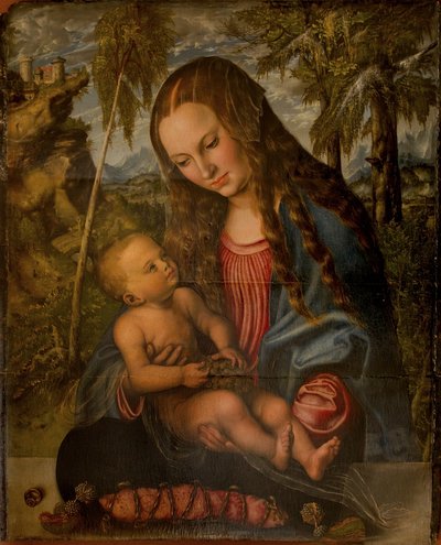 Madonna kuusen alla tekijältä Lucas Cranach the Elder