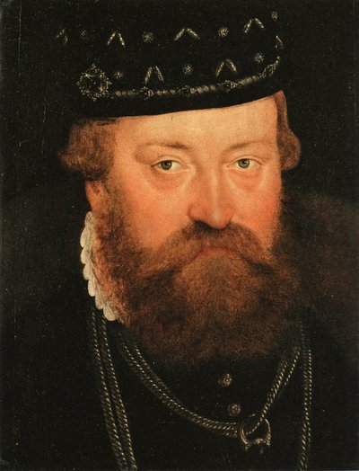 Johannes Yrjö, Brandenburgin valitsijamies (1525-1598), Brandenburgin valitsijamies. tekijältä Lucas Cranach the Younger