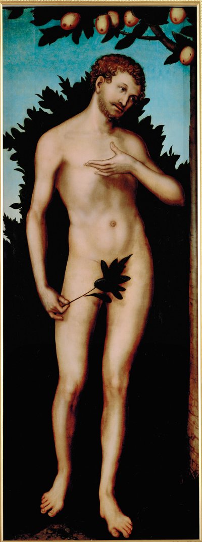 Adam tekijältä Lucas the Elder Cranach