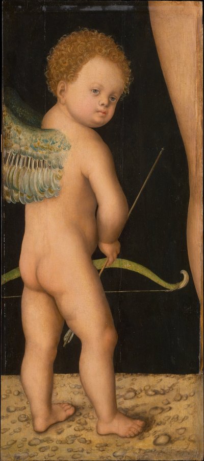 Amour - Amor, kirjoittanut Cranach, Lucas, vanhempi (1472-1553). Öljy puulle, n. 1530. Mitat : 81x36 cm. Taidehistoriallinen museo, Vienne tekijältä Lucas the Elder Cranach