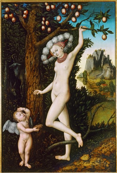 Amor valittaa Venukselle ... (maalaus puulle) tekijältä Lucas the Elder Cranach