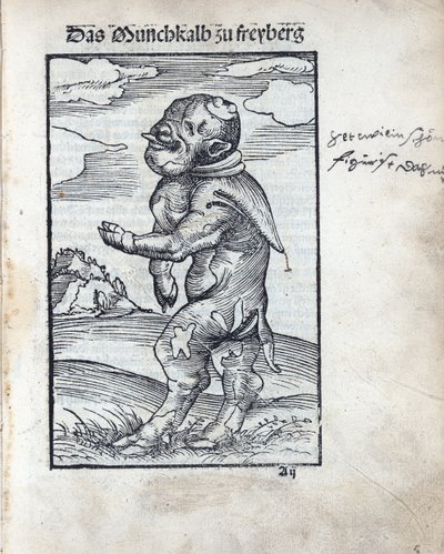 Freibergin munkkivasikka (Das Moenchkalb zu Freiberg), kirjoittanut Cranach, Lucas, vanhempi (1472-1553). puupiirros tekijältä Lucas the Elder Cranach