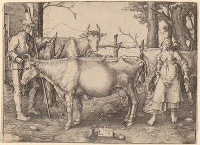 Maitotyttö tekijältä Lucas van Leyden