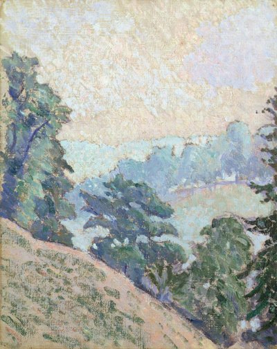Brookleton Dale, Youlgrave, Derbyshire tekijältä Lucien Pissarro
