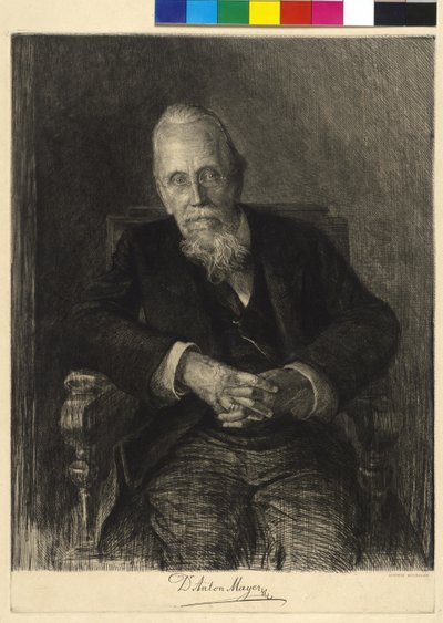 Anton Mayer tekijältä Ludwig Michalek
