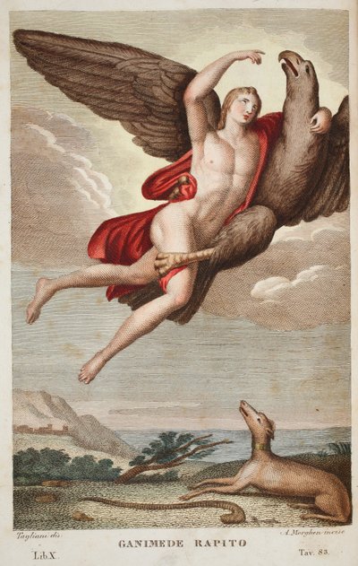 Taivaaseen viety Ganymede tai Ganimede Rapito, kirja X, kuvitus Ovidiuksen teoksesta Metamorphoses, Firenze, 1832 (käsin väritetty kaiverrus). tekijältä Luigi Ademollo