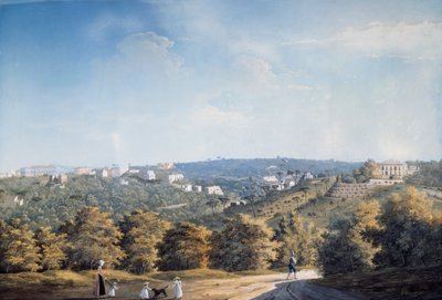 Capodimonte-kukkula ja huvilat Ponti Rossi -tien varrella (guassi) tekijältä Luigi Fergola