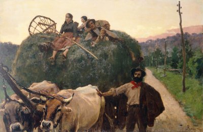 Heinää tekijältä Luigi Rossi