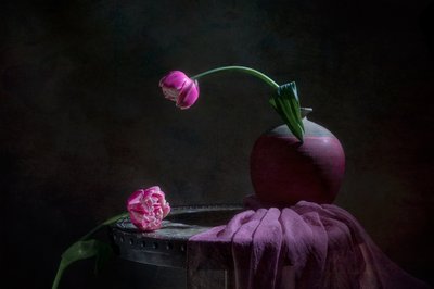 Asetelma vaaleanpunaisista tulppaaneista tekijältä Lydia Jacobs