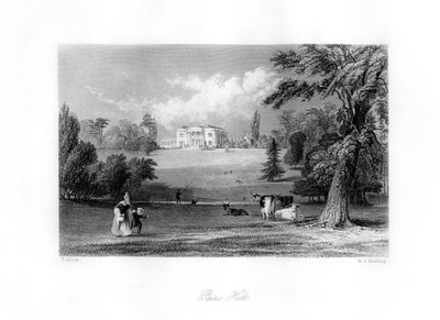 Pains Hill, Surrey, 1800-luku. tekijältä M. J. Starling