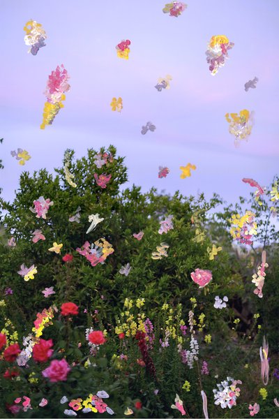 Abstracted Flowers, 2019 (akryylimaali arkistopigmenttiprintillä) tekijältä Madeleine Gross