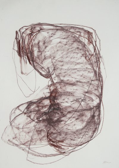 Torso 5, 2022 (hiili paperille) tekijältä Madgalena Morey