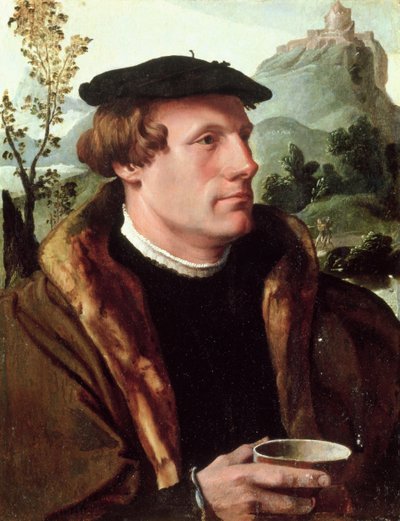 Gentlemanin muotokuva tekijältä Maerten van Heemskerck