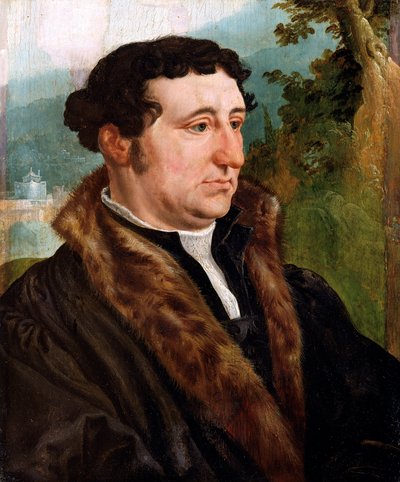 "Miehen muotokuva", 1540 tekijältä Maerten van Heemskerck