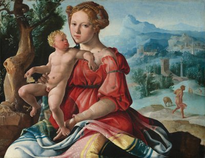 tekijältä Maerten van Heemskerck