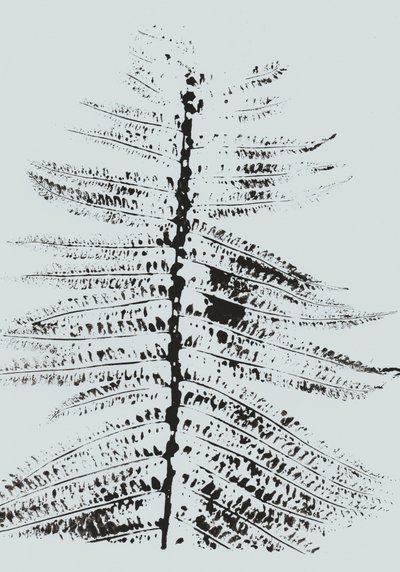 Black Ink Fern tekijältä Maira Ribena