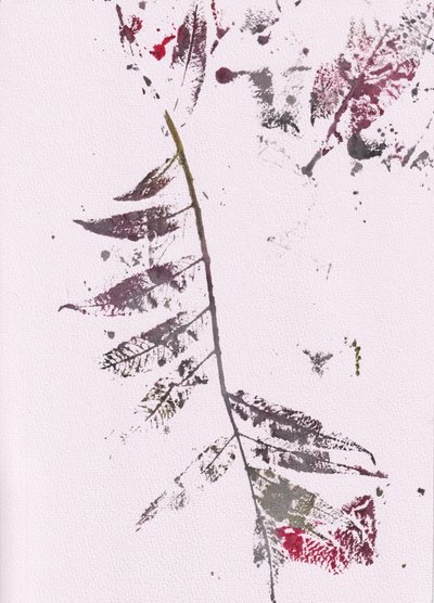 Dark Leaf -vaikutelmia tekijältä Maira Ribena